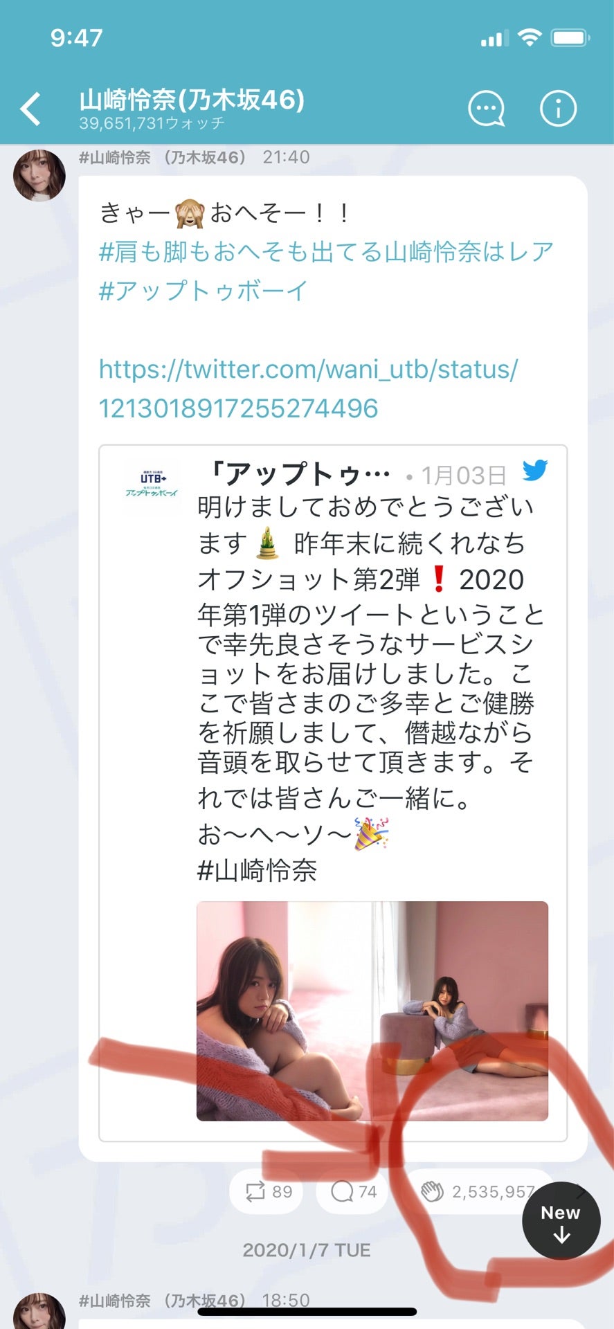 投稿画像