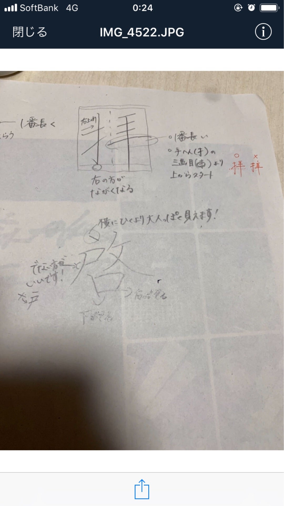 投稿画像