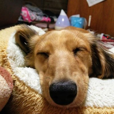 ひで