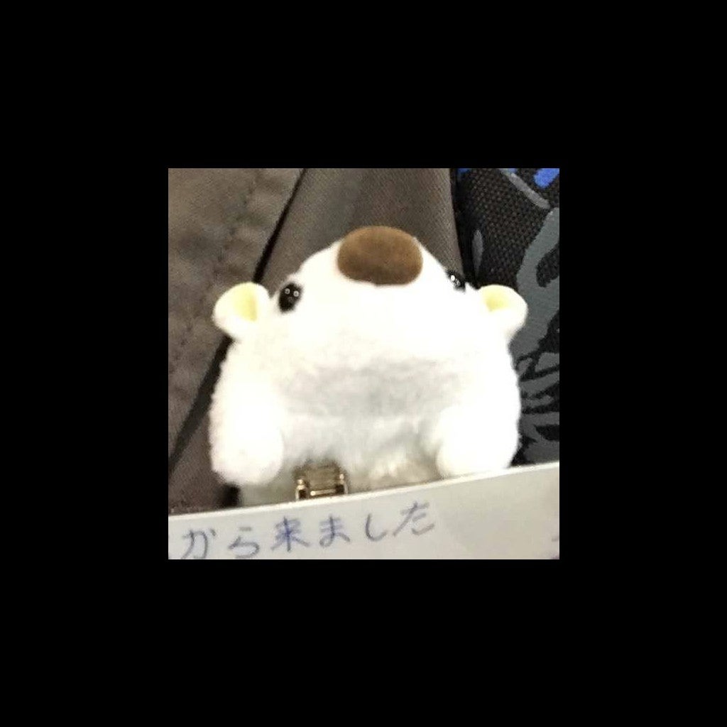 台湾のじゅう
