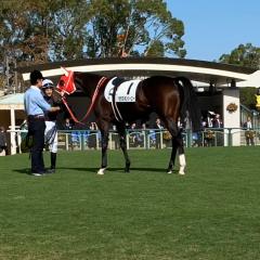 〜A DIARY OF ORFEVRE〜エルナンドエルナンデス