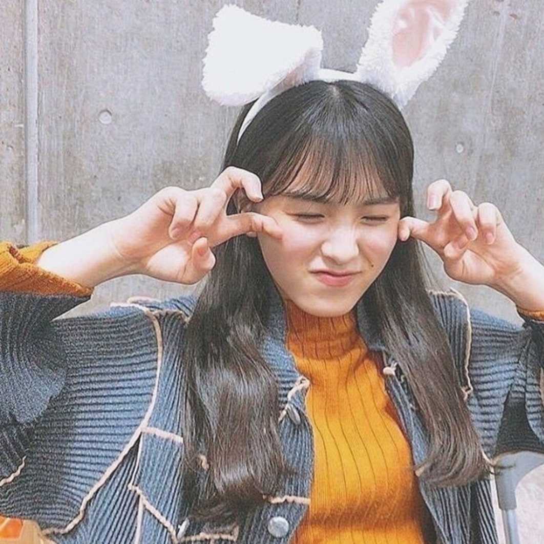 もももんたん。