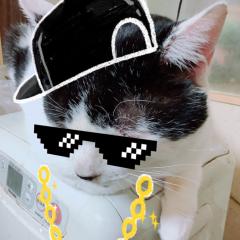 まどちゃん(サブ垢)