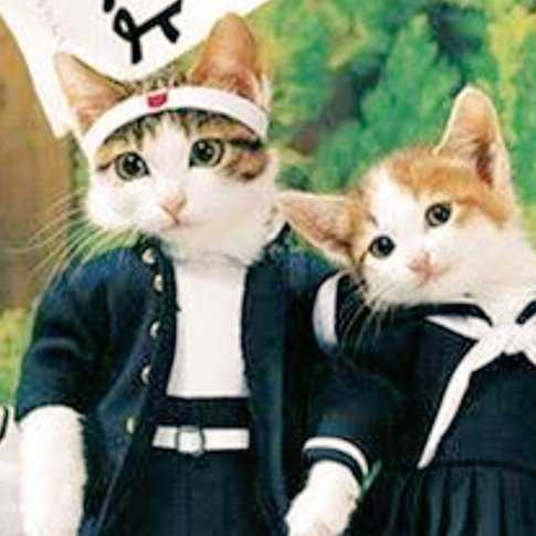 信