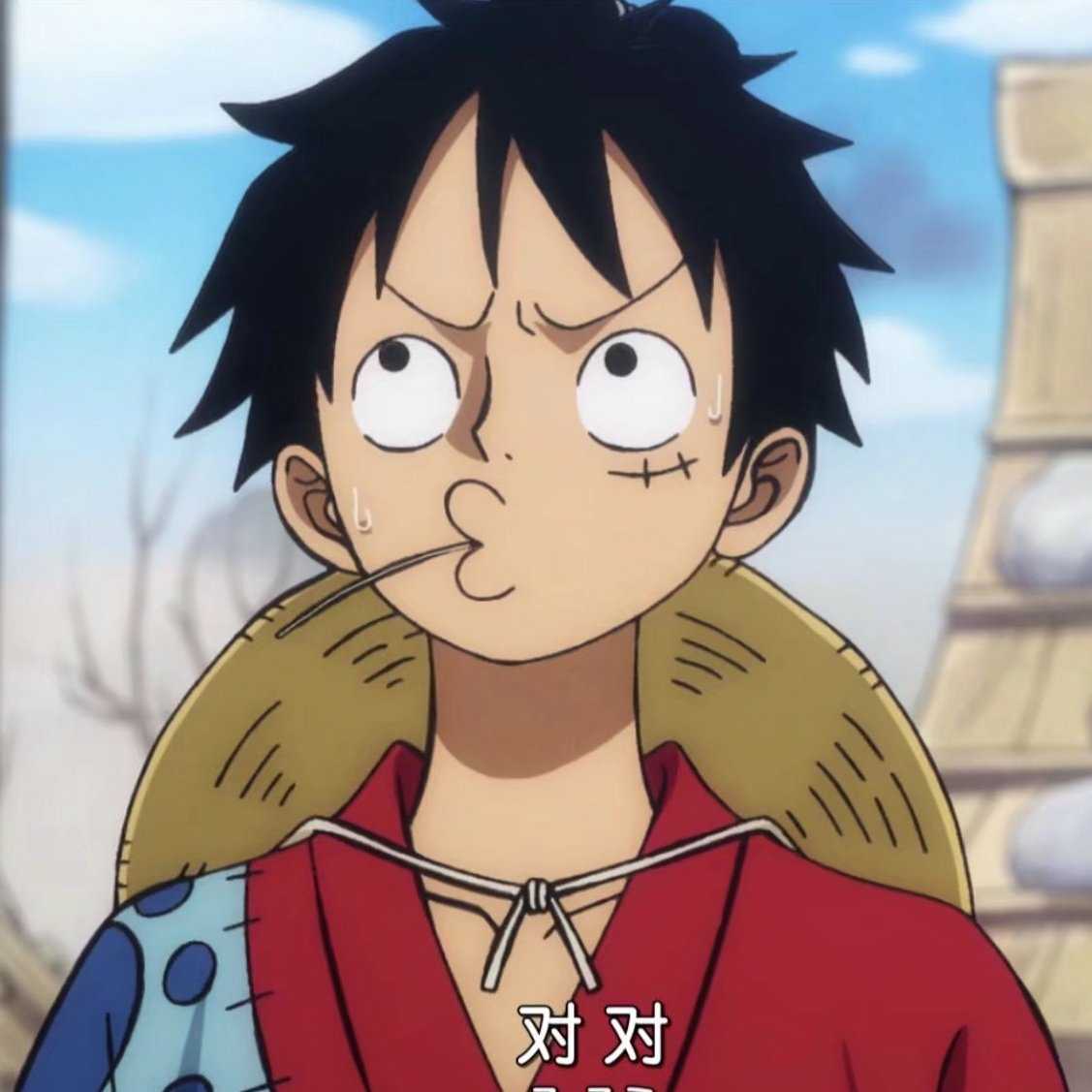 ルフィ太郎「ワノ国」