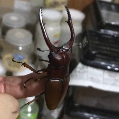 あたあた