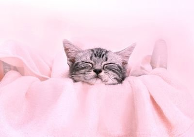 はてなくん ◢⁴⁶