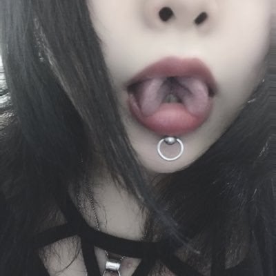 ✣🐼華の蜜🐼✣