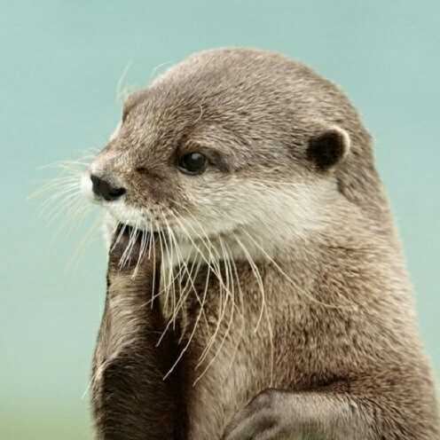 かずき@しゅがーのトーク