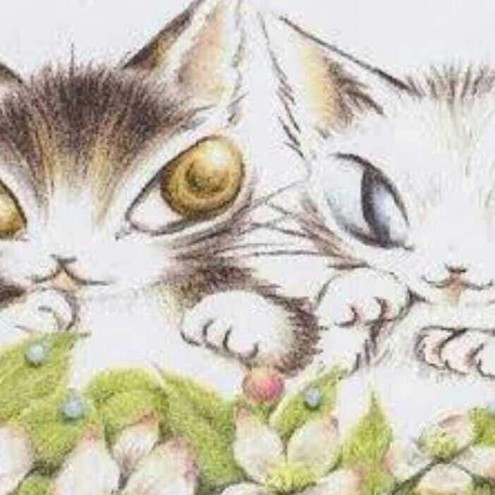 亀さん🐢とのん🐰2人部屋*‧・❁˚.・*❁