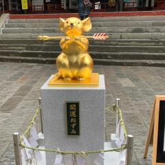 どんちゃん @奈緒推し