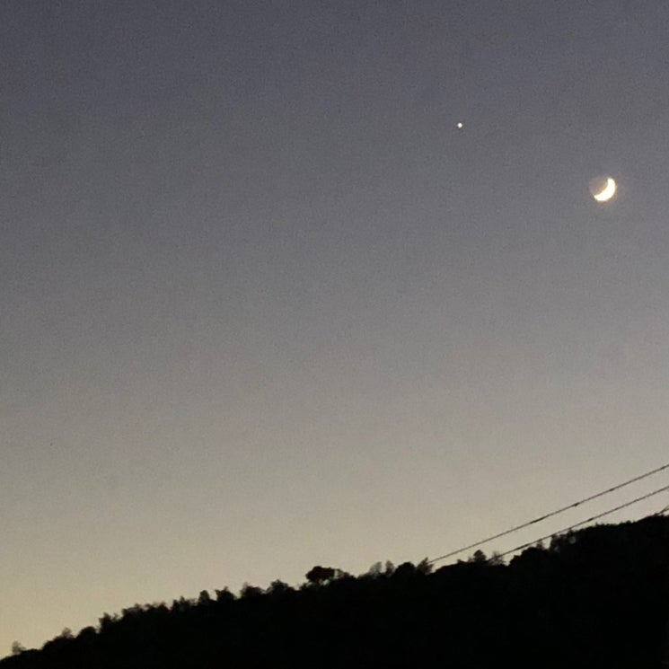 かりんのトーク