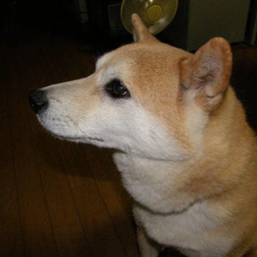 三輪一実