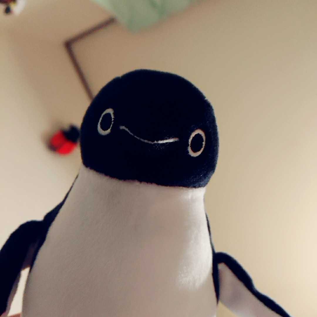 きっこ