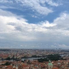 沢しおん(小説家)