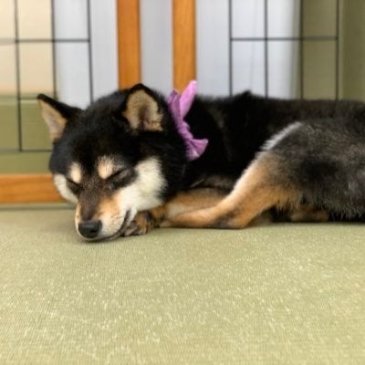 やっしー、