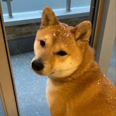 そら