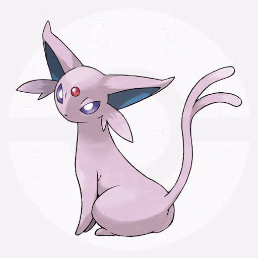 kazくん