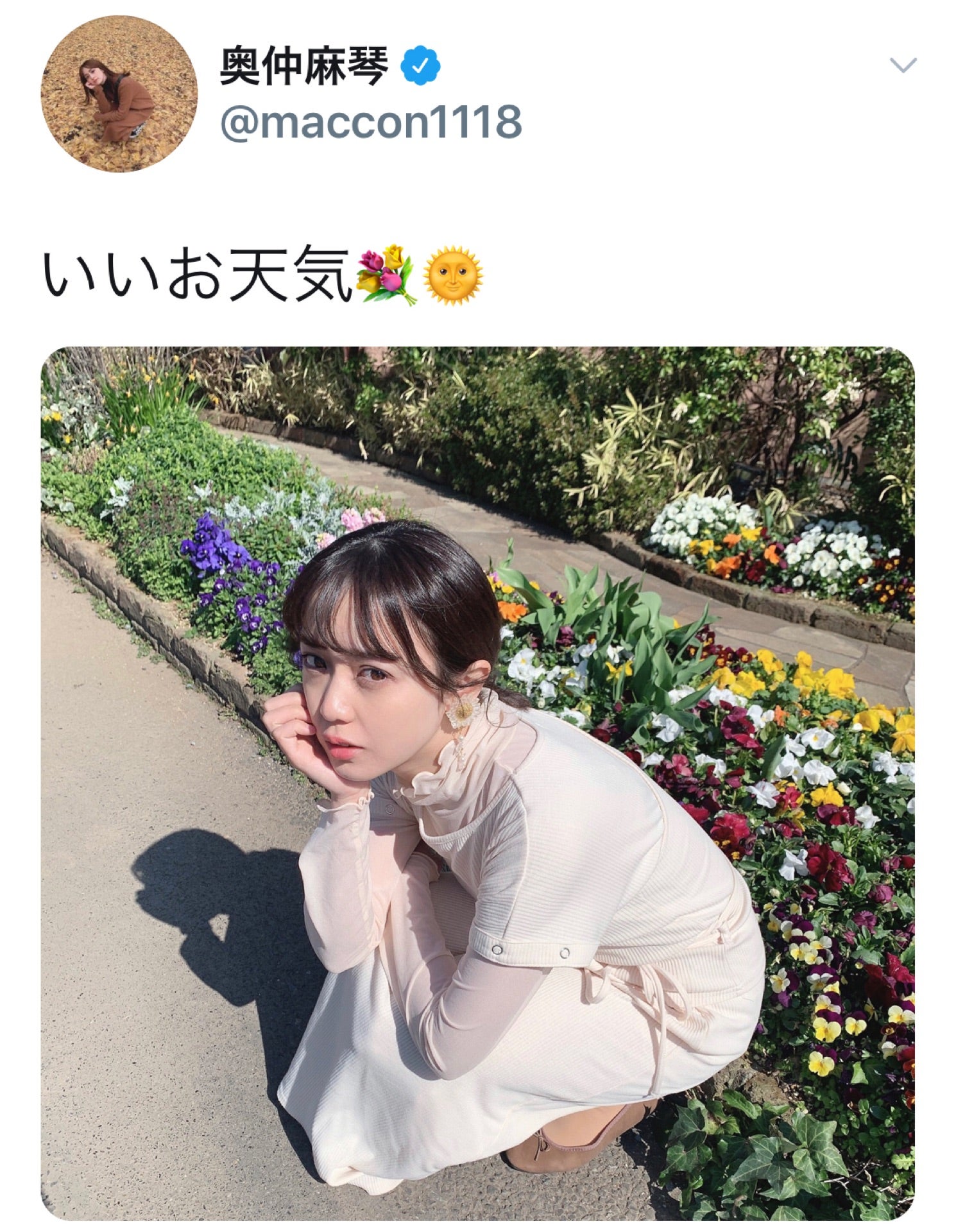 投稿画像