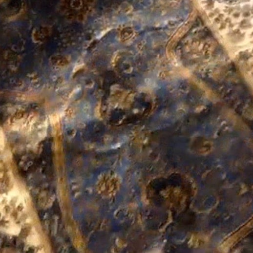 トルコのお高いマット