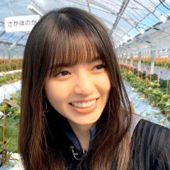 やすのり