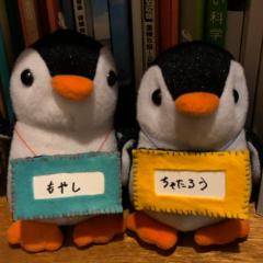 たくたく