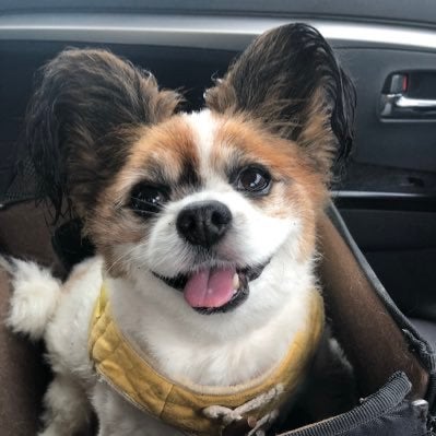 カサノバのトーク