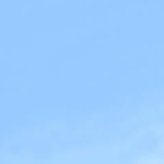 @mi-mi(´・_・`)