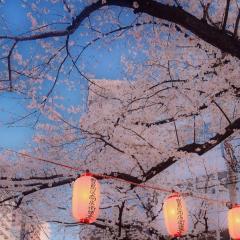 汐宮いおりのトーク