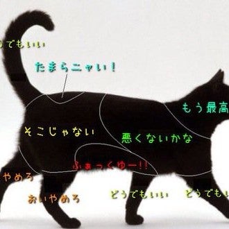 けんこ