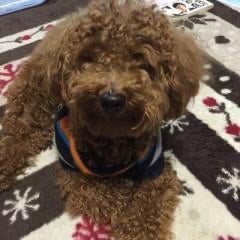 原田 味佳のトーク