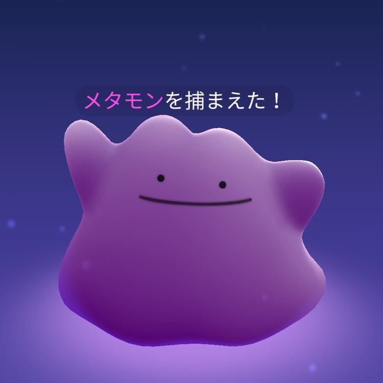 藻