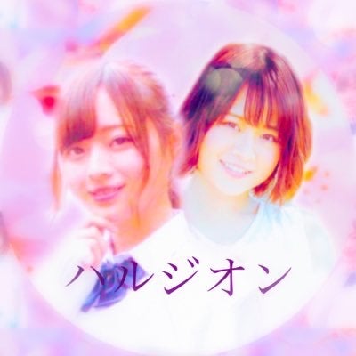 春紫菀の花言葉