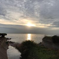 Kozakai Sunaoのトーク