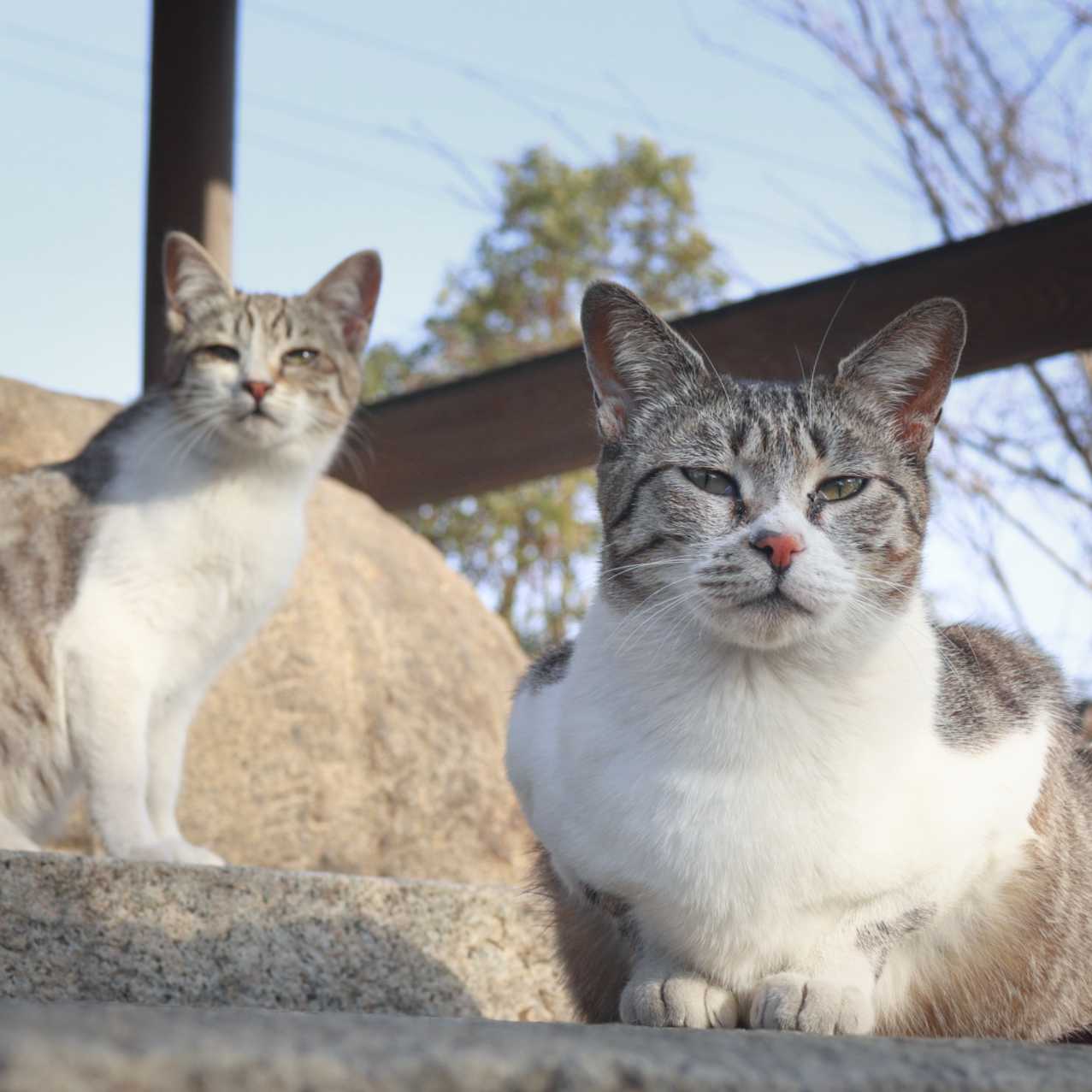 エスラビ⊿のトーク