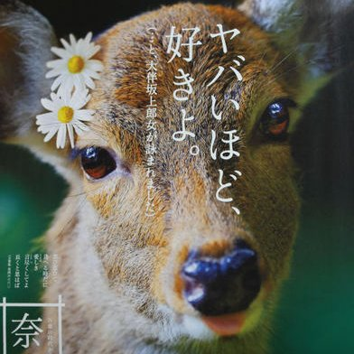 ⛩️くれず、🦌
