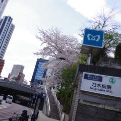 ネクセ(けんしろう)