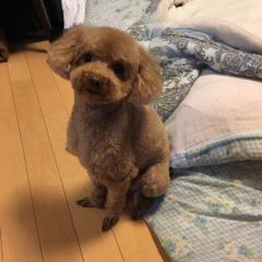 よしふみ⊿のトーク