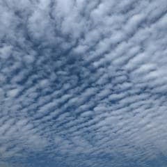 パワーアップルの日常の風景