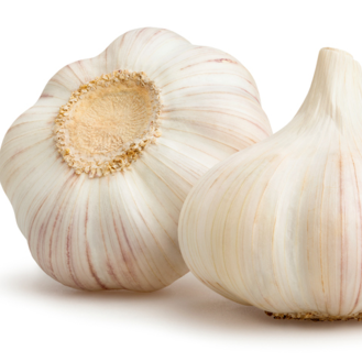 Josh Lenka「ジヨース ランカ」のトーク