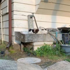 なんでもとーく