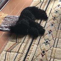 まっつー。