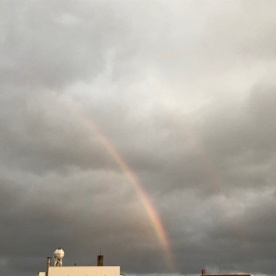 みさみさのトーク