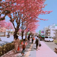 はるたま