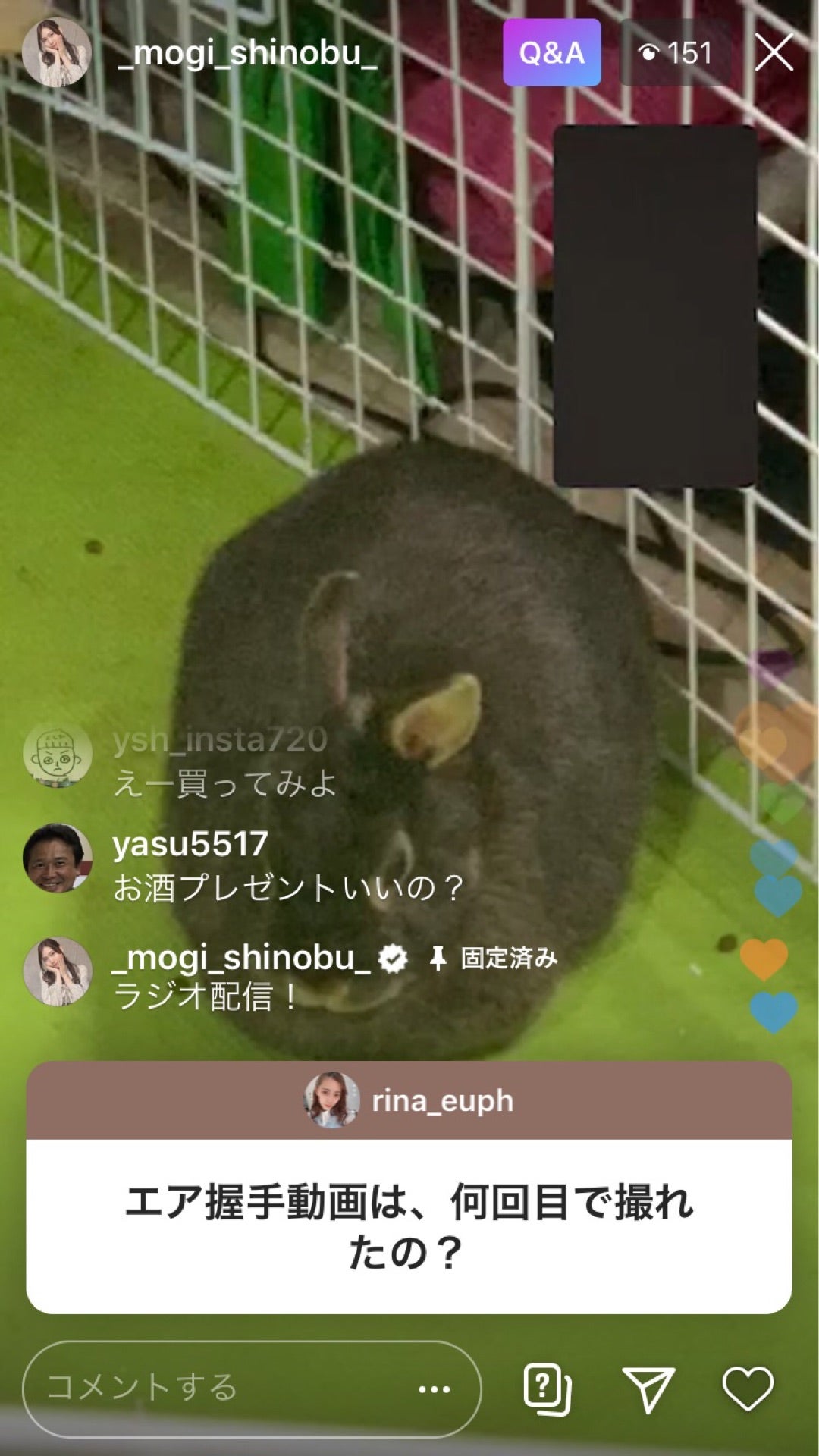 投稿画像