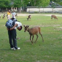 よっし～のトーク
