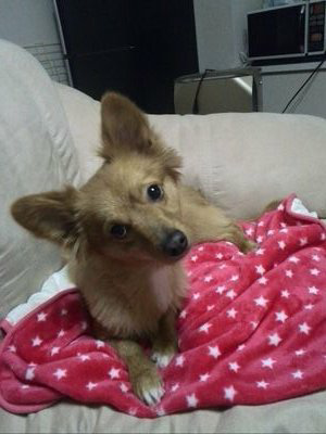 マナブ@ハコダテ