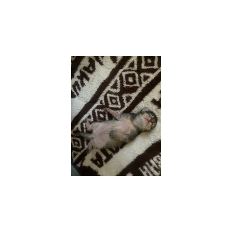 M様