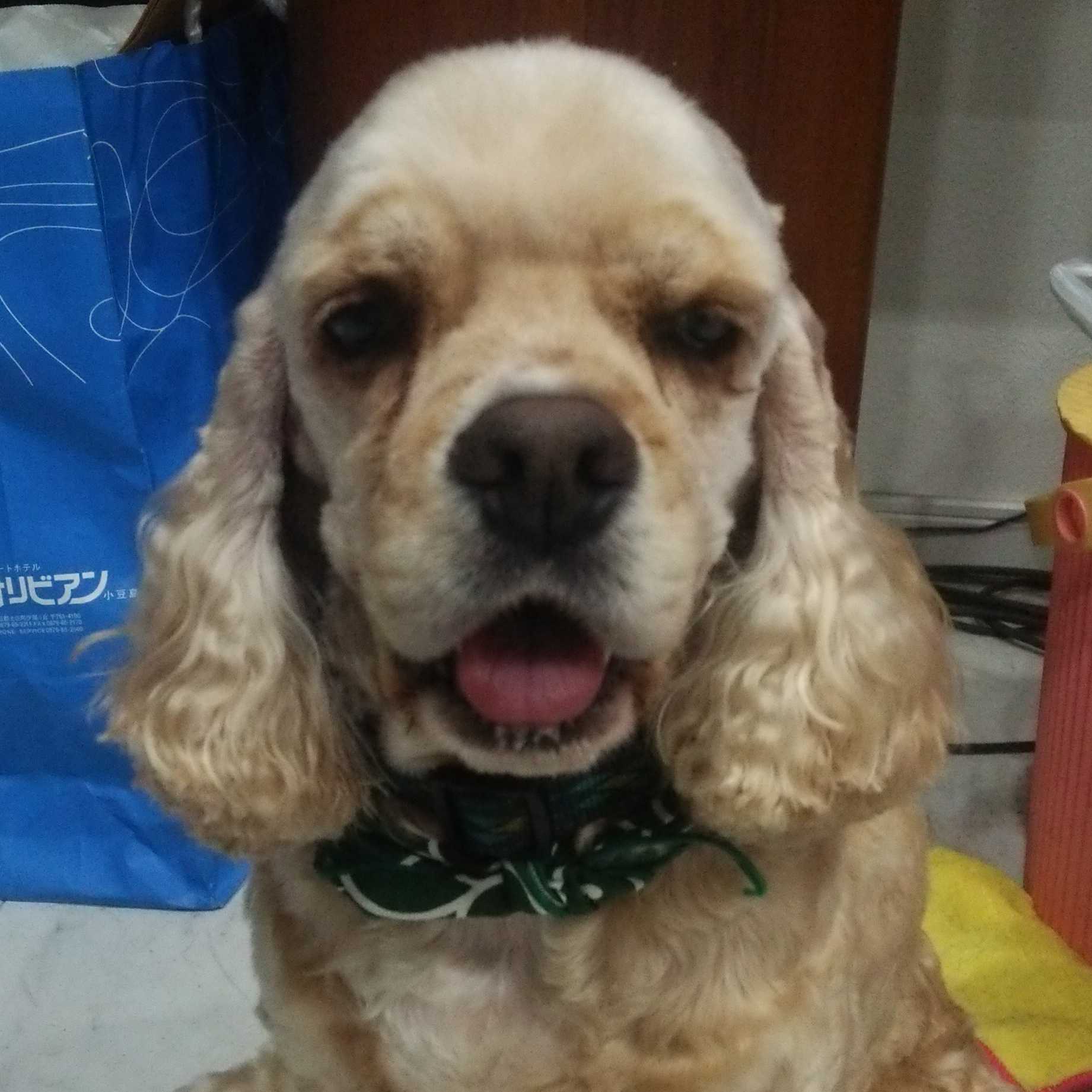 まさどん