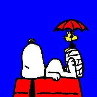 ともたん✨(o・・o)//🍫😶😶のトーク